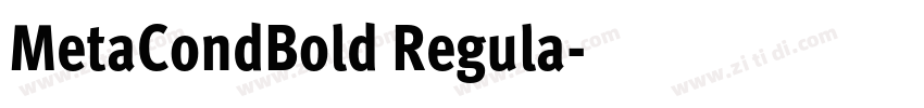 MetaCondBold Regula字体转换